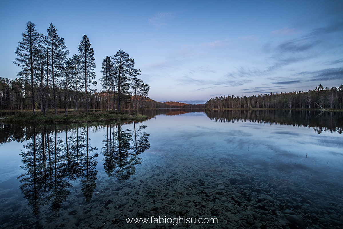 📷 Naturalistic tour in South Finland