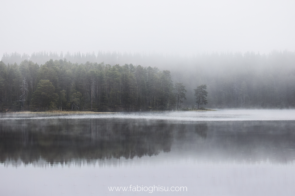 📷 Naturalistic tour in South Finland