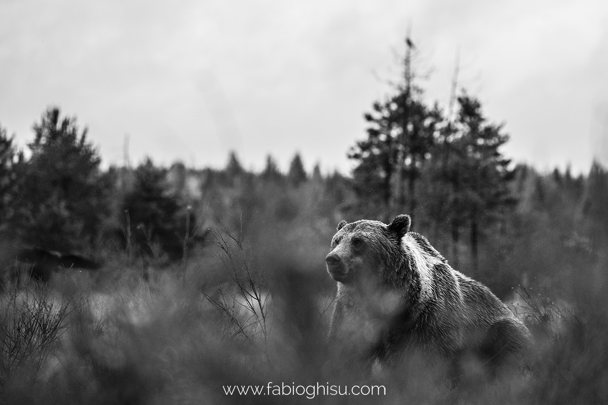 📷 Naturalistic tour in South Finland