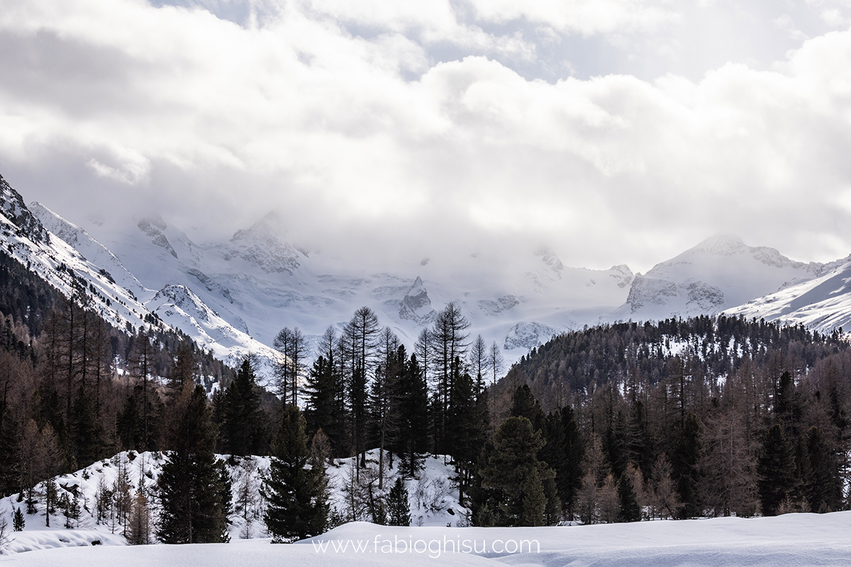 📷 Naturalistic tour in Switzerland