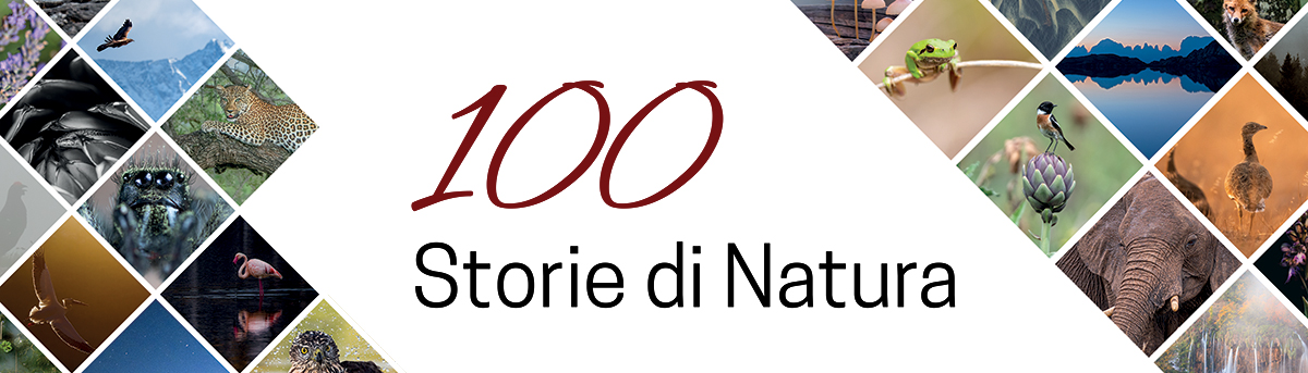 100 Storie di natura: mostra fotografica e workshop